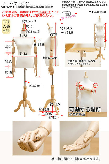 レディス アーム付きトルソー CN07 レディース 女性 ウィメンズ ボディートルソー マネキン ディスプレイ 腕付き 手付き ハンド 指付き 木目調 ウッド 可動 S M L 7号 9号 11号 猫脚 クラシック 可愛い インテリア 洋裁 服作り 上半身 木製 猫脚スタンド アパレル 洋服
