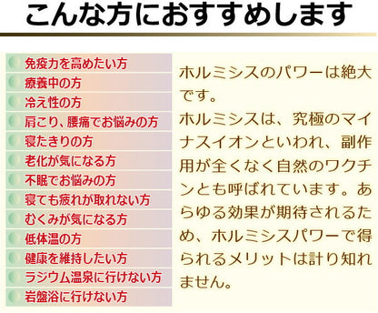 ホルミシス敷きパット アンジェリカ ホルミシス効果 岩盤浴 遠赤外線 マイナスイオン 岩盤浴 マット 敷パット シングル 安眠マット 疲労回復